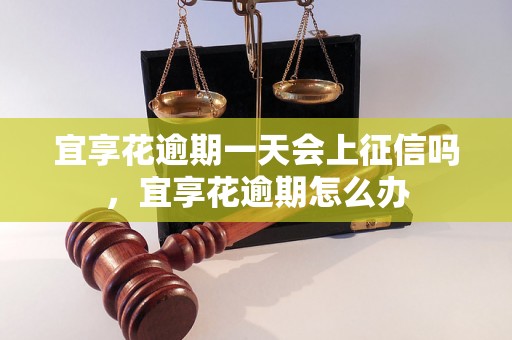 宜享花逾期一天会上征信吗，宜享花逾期怎么办