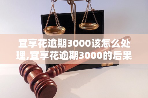 宜享花逾期3000该怎么处理,宜享花逾期3000的后果