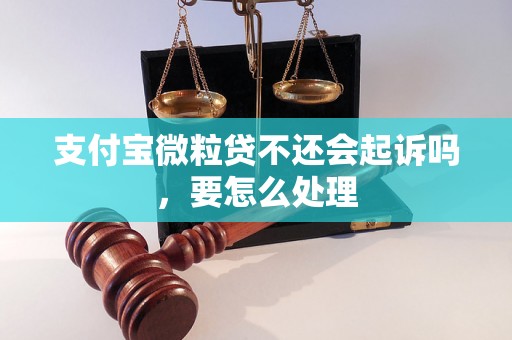 支付宝微粒贷不还会起诉吗，要怎么处理