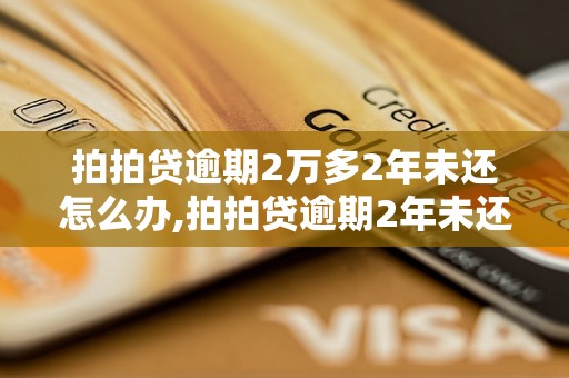 拍拍贷逾期2万多2年未还怎么办,拍拍贷逾期2年未还会有什么后果