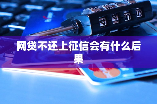 网贷不还上征信会有什么后果