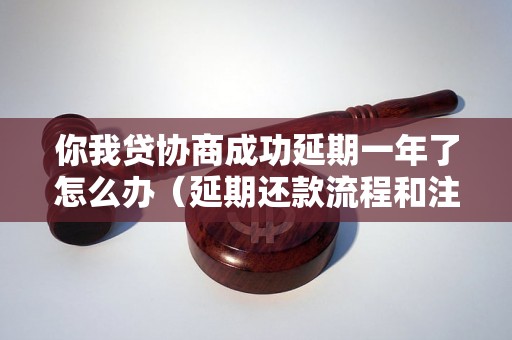 你我贷协商成功延期一年了怎么办（延期还款流程和注意事项）