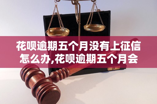 花呗逾期五个月没有上征信怎么办,花呗逾期五个月会有什么后果