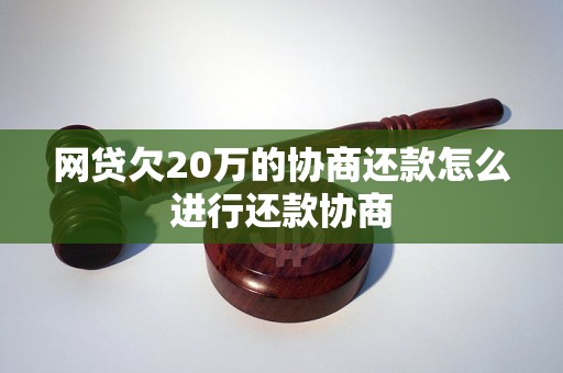 网贷欠20万的协商还款怎么进行还款协商