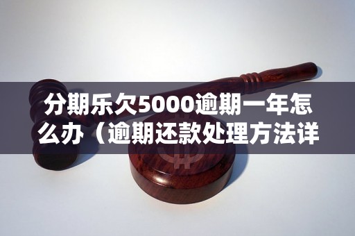 分期乐欠5000逾期一年怎么办（逾期还款处理方法详解）