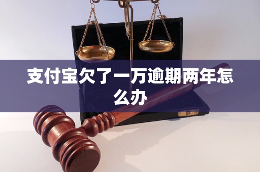 支付宝欠了一万逾期两年怎么办