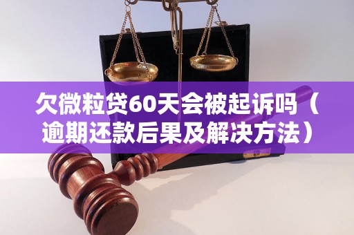 欠微粒贷60天会被起诉吗（逾期还款后果及解决方法）