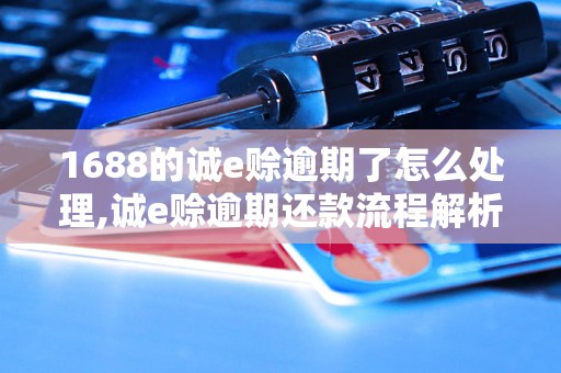 1688的诚e赊逾期了怎么处理,诚e赊逾期还款流程解析