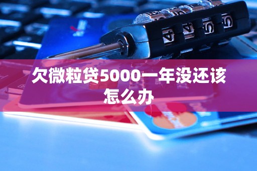 欠微粒贷5000一年没还该怎么办