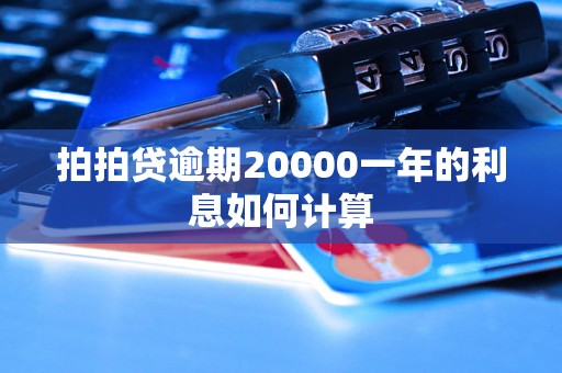 拍拍贷逾期20000一年的利息如何计算