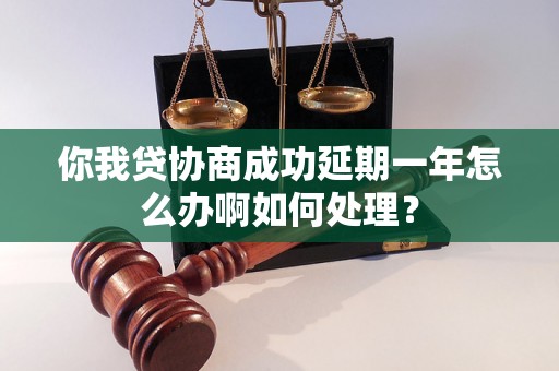 你我贷协商成功延期一年怎么办啊如何处理？