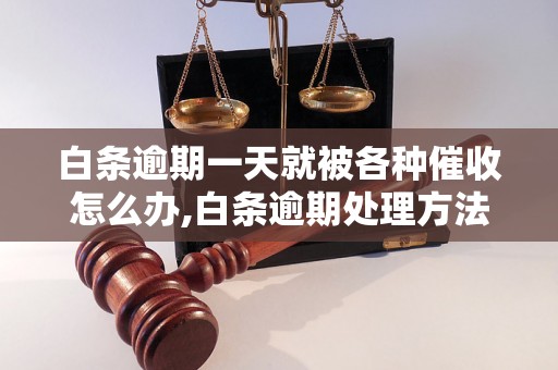 白条逾期一天就被各种催收怎么办,白条逾期处理方法有哪些