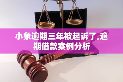 小象逾期三年被起诉了,逾期借款案例分析