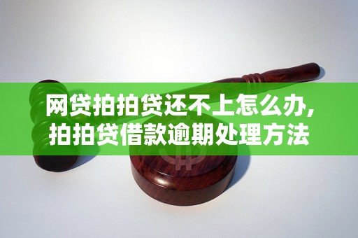 网贷拍拍贷还不上怎么办,拍拍贷借款逾期处理方法