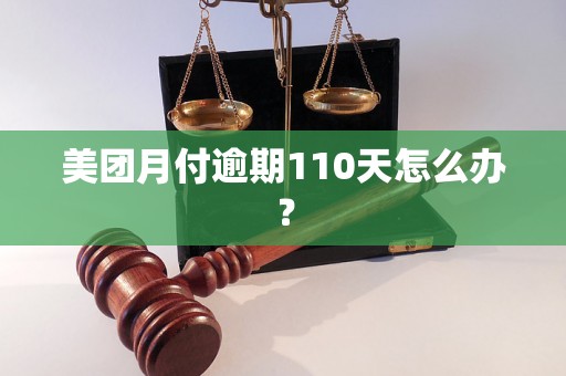 美团月付逾期110天怎么办？