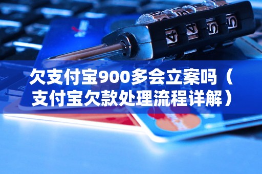 欠支付宝900多会立案吗（支付宝欠款处理流程详解）