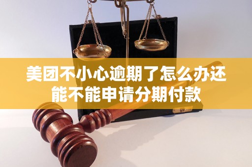 美团不小心逾期了怎么办还能不能申请分期付款