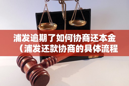 浦发逾期了如何协商还本金（浦发还款协商的具体流程）