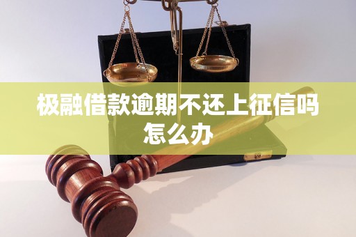 极融借款逾期不还上征信吗怎么办