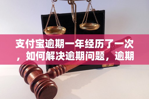 支付宝逾期一年经历了一次，如何解决逾期问题，逾期一年后的还款流程