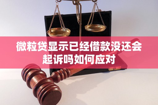 微粒贷显示已经借款没还会起诉吗如何应对