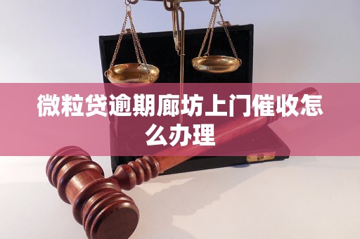 微粒贷逾期廊坊上门催收怎么办理