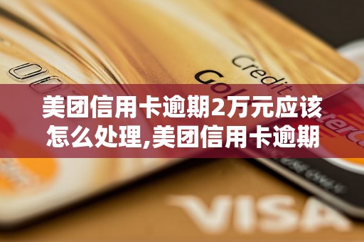 美团信用卡逾期2万元应该怎么处理,美团信用卡逾期2万元后果严重吗