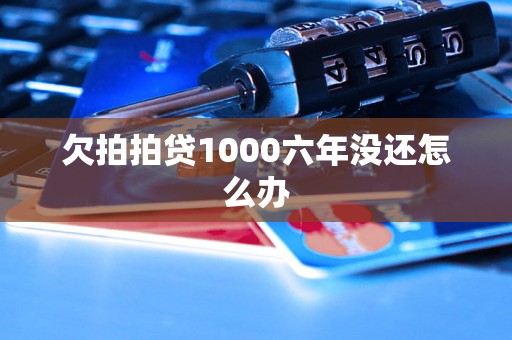 欠拍拍贷1000六年没还怎么办