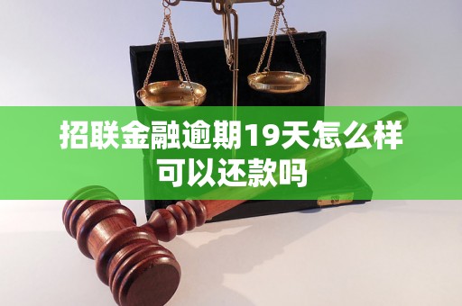 招联金融逾期19天怎么样可以还款吗