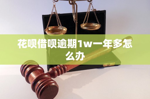 花呗借呗逾期1w一年多怎么办