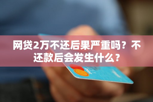 网贷2万不还后果严重吗？不还款后会发生什么？