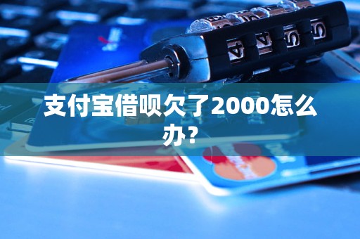 支付宝借呗欠了2000怎么办？