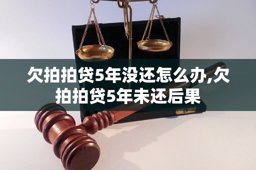 欠拍拍贷5年没还怎么办,欠拍拍贷5年未还后果