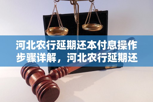 河北农行延期还本付息操作步骤详解，河北农行延期还本付息办理流程