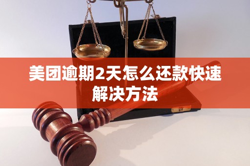 美团逾期2天怎么还款快速解决方法