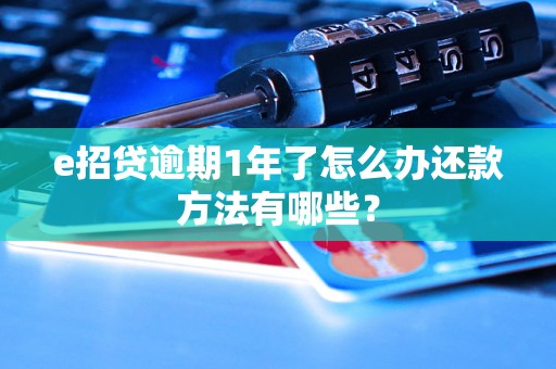 e招贷逾期1年了怎么办还款方法有哪些？