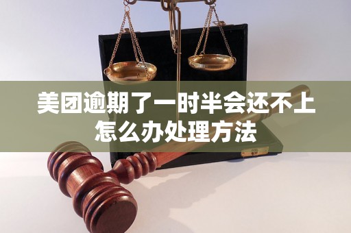 美团逾期了一时半会还不上怎么办处理方法