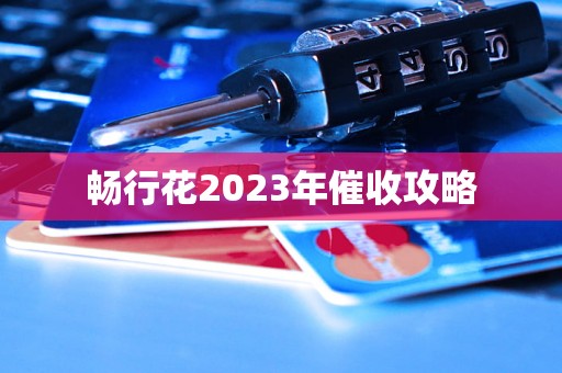 畅行花2023年催收攻略