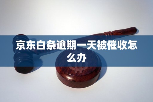 京东白条逾期一天被催收怎么办