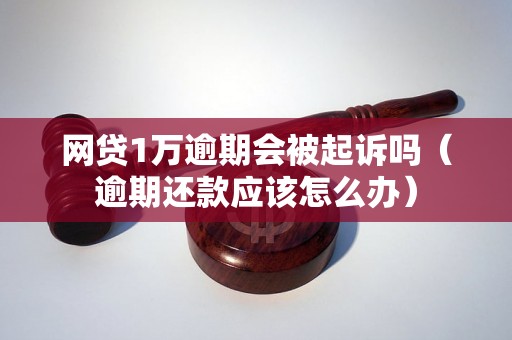 网贷1万逾期会被起诉吗（逾期还款应该怎么办）