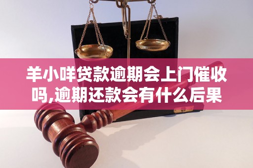 羊小咩贷款逾期会上门催收吗,逾期还款会有什么后果