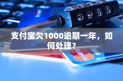 支付宝欠1000逾期一年，如何处理？