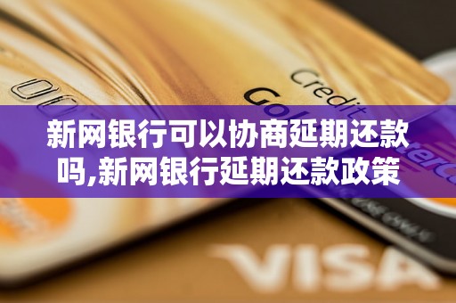 新网银行可以协商延期还款吗,新网银行延期还款政策解析