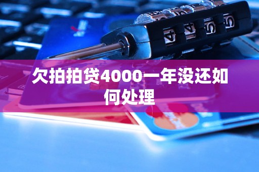 欠拍拍贷4000一年没还如何处理