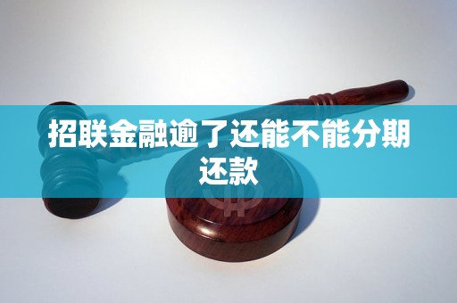 招联金融逾了还能不能分期还款