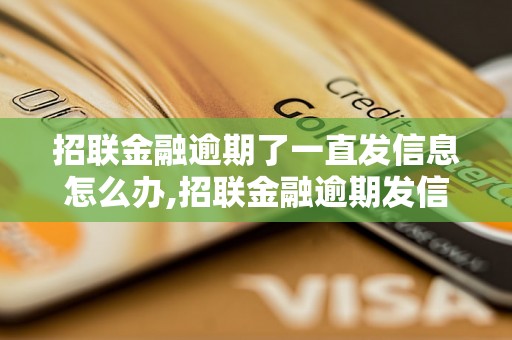 招联金融逾期了一直发信息怎么办,招联金融逾期发信息是什么意思