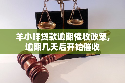 羊小咩贷款逾期催收政策,逾期几天后开始催收