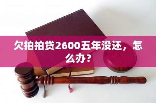 欠拍拍贷2600五年没还，怎么办？