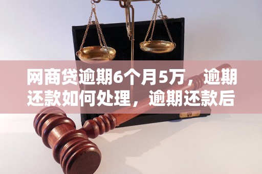 网商贷逾期6个月5万，逾期还款如何处理，逾期还款后果严重吗