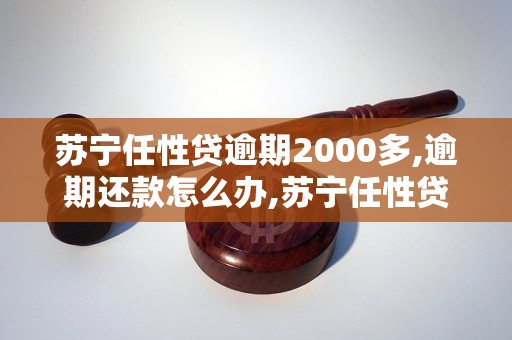 苏宁任性贷逾期2000多,逾期还款怎么办,苏宁任性贷逾期处理方法